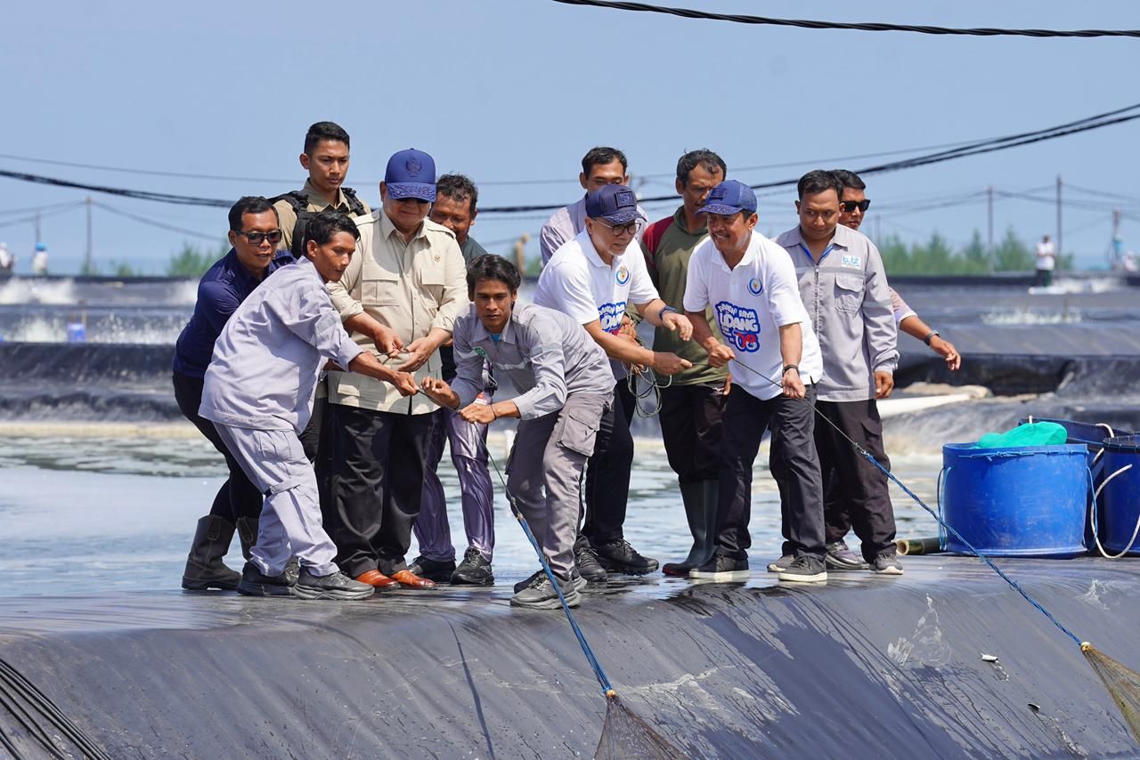 Presiden Dorong Swasembada Protein Dari Tambak Produktif