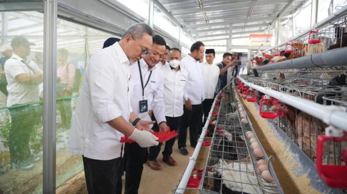 Tinjau Rumah Pangan PNM, Zulhas Panen Brokoli hingga Ayam Petelur