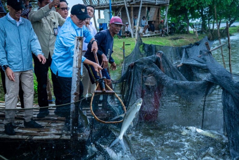 664233_pemerintah-rencana-bangun-20-ribu-hektar-tambak-ikan-untuk-penuhi-kebutuhan-mbg_20260128095415.jpeg
