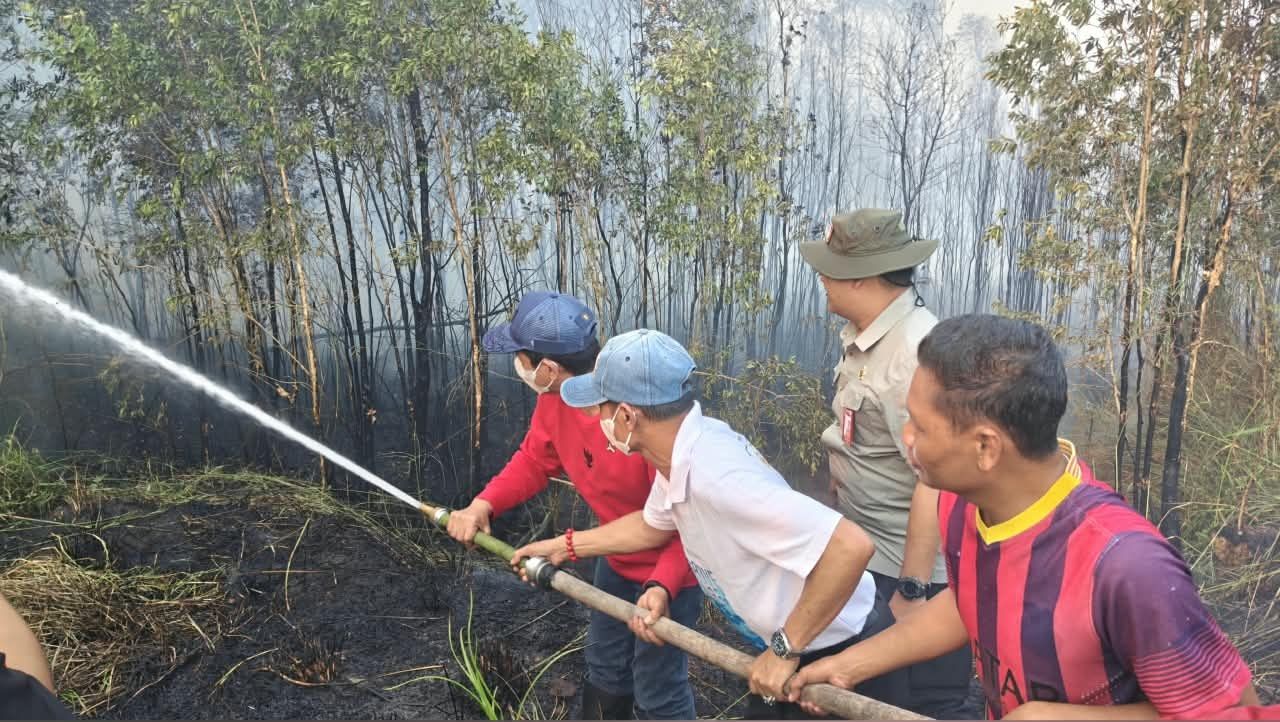 Wamenko minta Kalsel masif kerahkan sumber daya kendalikan karhutla